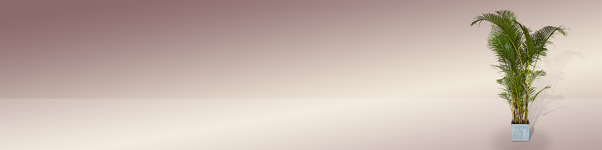 backgroung Image