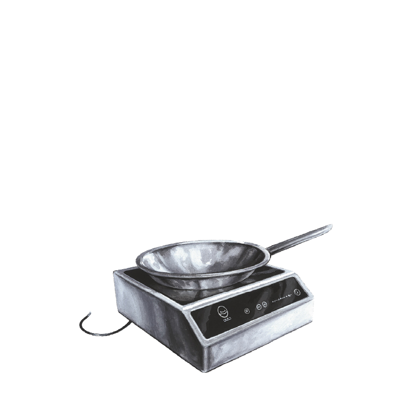 Réchaud à induction grand modèle + wok