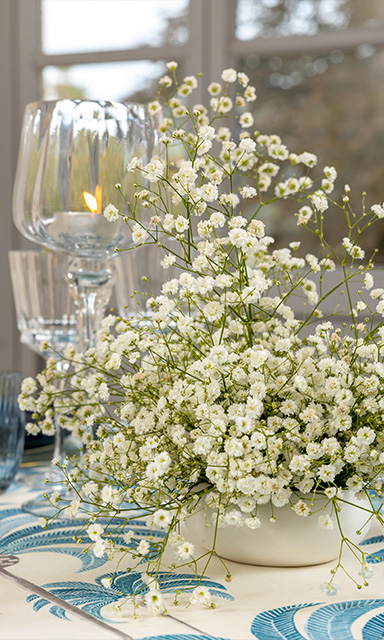 Éclat méditerranéen