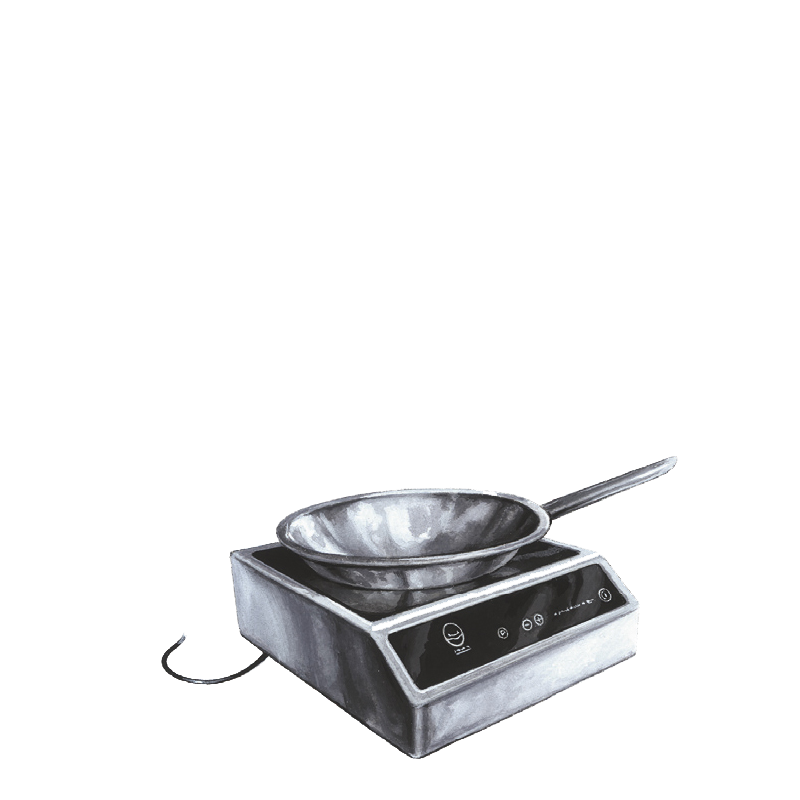 Réchaud à induction grand modèle + wok